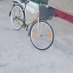 welik 26