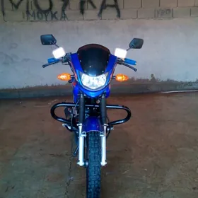 Fekon FK150-8G 2025