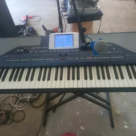 korg pa 800