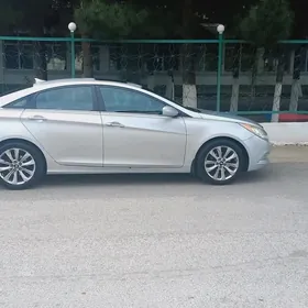 Hyundai Sonata 2010