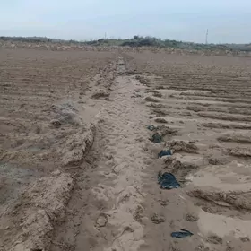 Bagçylyk 350 gekda ýer satlyk