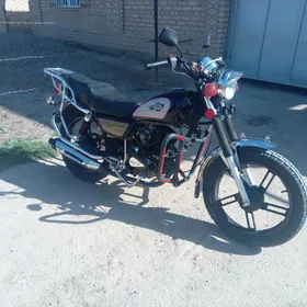 Fekon FK150-8G 2015