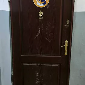 железная дверь