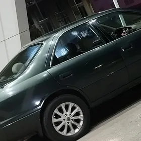 palta camry xle disga 16lyk