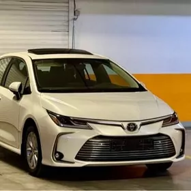 Toyota Corolla 2023