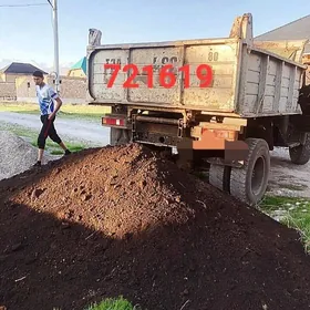 DERS GUM MITI ДЕРС НАВОЗ ГУМ
