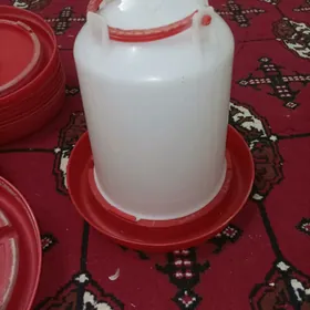 Poilka Suw berilyan