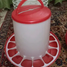 Kormushka iym berilyan