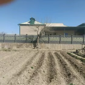 Beton Zabor (Haýat)