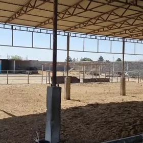 Ferma Mal yatak