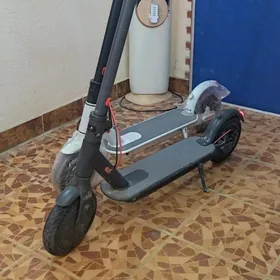 ussa Tokly samokat skuter