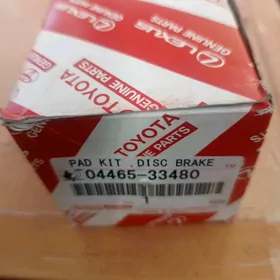 arginal kalotga