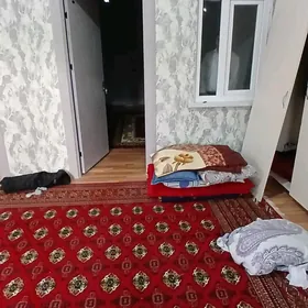 Satlyk Hitrowka yer jay
