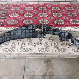 zaşita