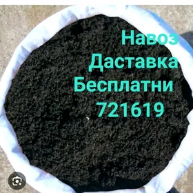 Gum MITI Ders Навоз Дерс Гум