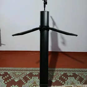 Pauk stoyka