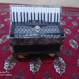 Akkardion