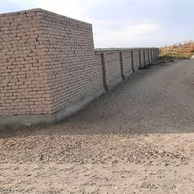 ferma ucin niyetlenen