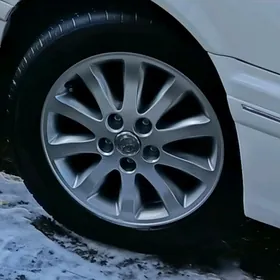 16 lyk broşka diska