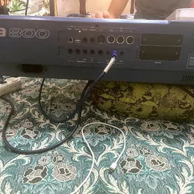 korg pa 800