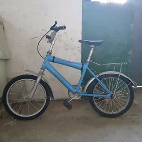 teger