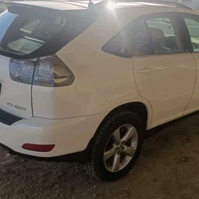 Lexus RX 330 2004