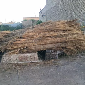 Gamyş