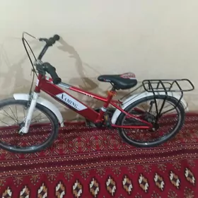 TIGIR ВЕЛСОПЕТ 20LIK