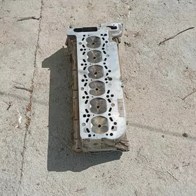 галовка