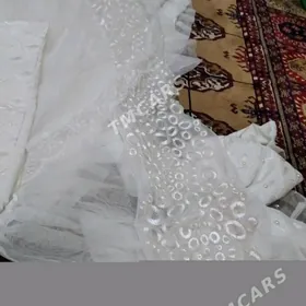 çaga dolag