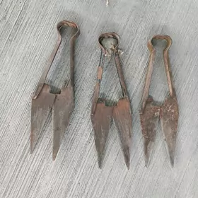 Gyrkylyk goyun
