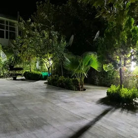 KOSI BAY OBA KoTTEJ