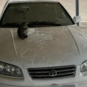 Toyota Camry 2000