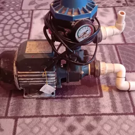 Suw nasoz