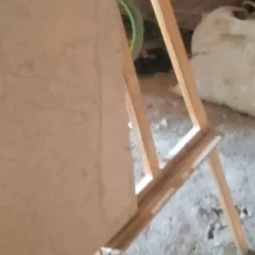 surat çekmek ucin
