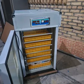 Inkubator 528 yumrtgalyk