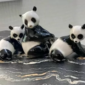 PANDA/ПАНДА