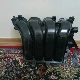 pawuk kallektor