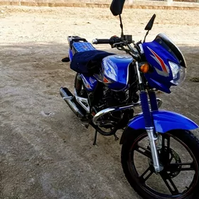 Fekon FK150-8G 2014