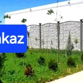 Beton Zabor (Haýat)