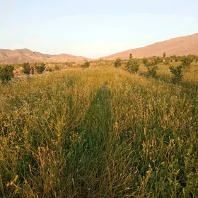 satlyk ekin yer