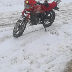 Fekon FK200-14G 2013