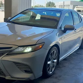 Toyota Camry 2020