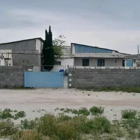 jaý Guwlymaýakda