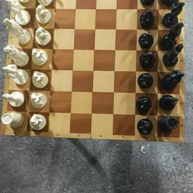 шахматы большие проф