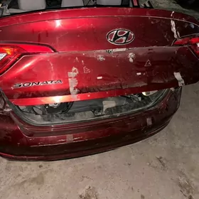 sonata 2016