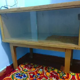 mebel telewizor pastawka