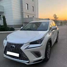 Lexus NX 300 2021