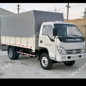 Forland H3 2011