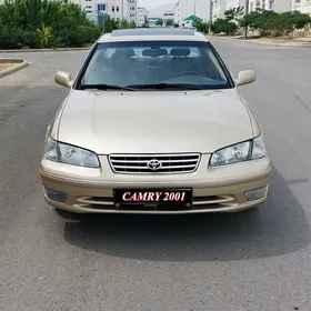 Toyota Camry 2001